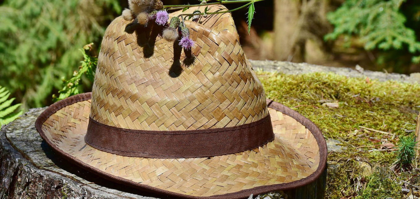 7 Ways to Protect Your Skin Without Sunblock – Mother Earth News - Vimarsana News